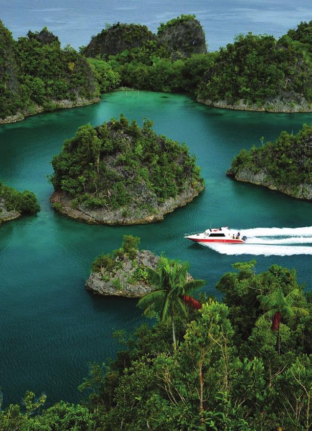 UNLIMITED JOURNEY DISCOVER THE HIDDEN GEMS OF INDONESIA Raja Ampat