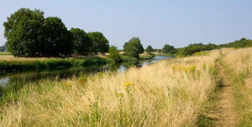 NORFOLK S WALKING TRAILS: Norfolk is criss-crossed by a large range of walking trails which connect popular locations, taking you deep into the countryside, and showing you parts of Norfolk you might