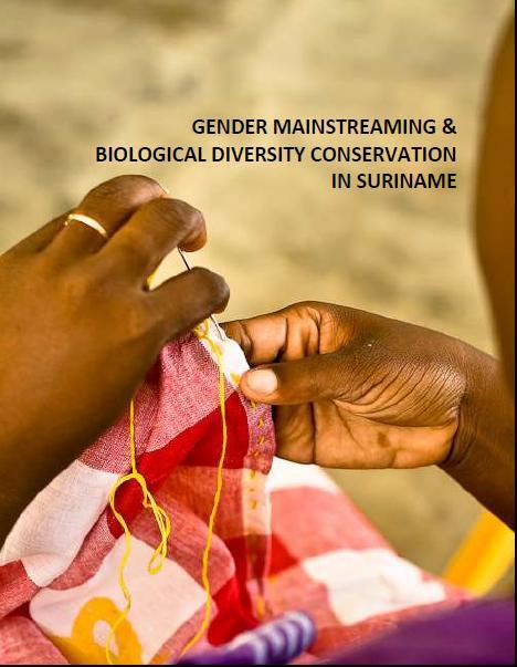 Gender and Biodiversity Assessments Studies on main gender issues