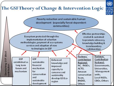 Theory of change The GSF creates and sustains an eco-regional platform to support national priorities, address common threats to