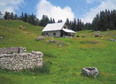 novice in obvestila Visokogorske kulturnopohodniške poti Gorenjski muzej je v sodelovanju s Triglavskim narodnim parkom na območju Pokljuke, Spodnjih Bohinjskih gora in Triglavskega pogorja pripravil