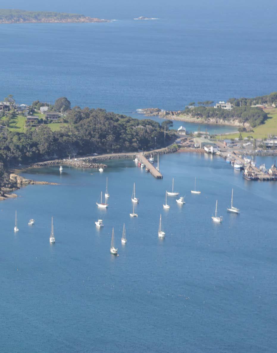 E ndorsements Bega Valley Shire Council supports the intentions of the proponents of the Eden Marina and Eden Resort Hotel to achieve their projects which will contribute to the community of Eden and