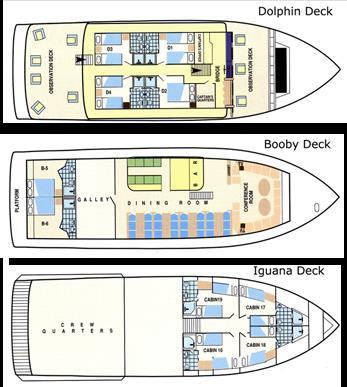 cabin categories deck-plans dolphin deck Cabins #1,3 & 4 have two twin lower beds or one double bed and picture windows. Cabin # 2 has one double bed and picture window.