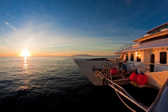 to a 15 day mega cruise where you'll thoroughly explore the Galapagos from end-to-end.