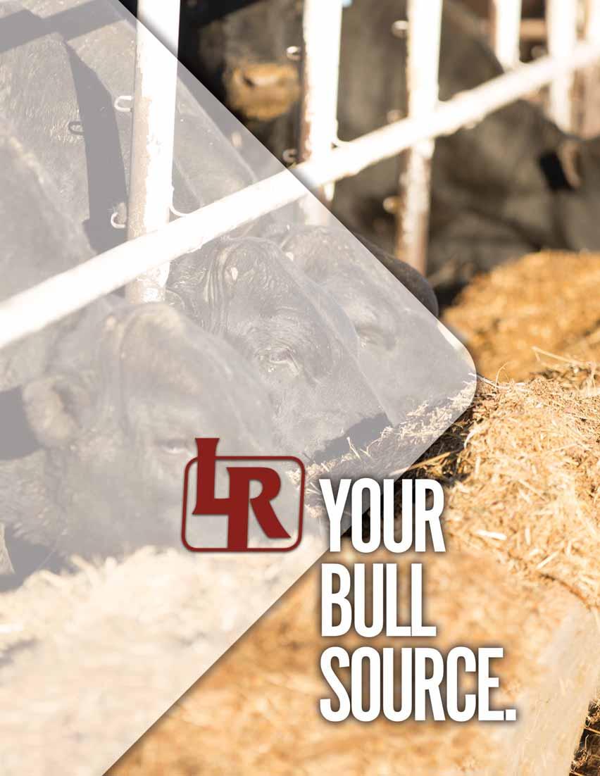 YOUR TRUSTED SOURCE FOR 33 YEARS AND COUNTING! TRUCKING - Free delivery on Central Locations (Bulls Only). Liberty Ranch offers its customers free delivery to anywhere in the lower 48 states.