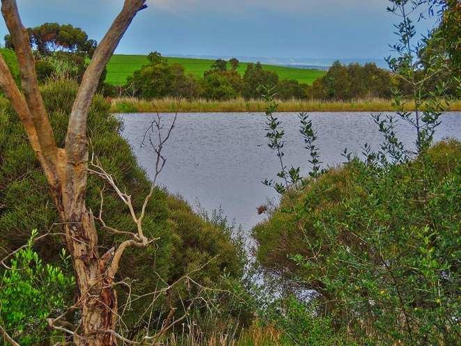 The Future of Glenthorne One of the Dams at Glenthorne Farm When Glenthorne Farm was transferred to the University of Adelaide in 2001, the government made very clear in a Deed that the land was