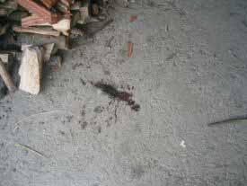 Traces of Blood in the Vučić family garage Talking to the local doctor Mario Stanković, HLC discovered that these people sustained head, shoulders, back, and thoracic cage injures.