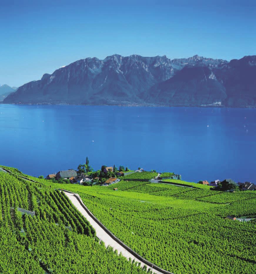 Come and discover the magic of the Lake Geneva Region.