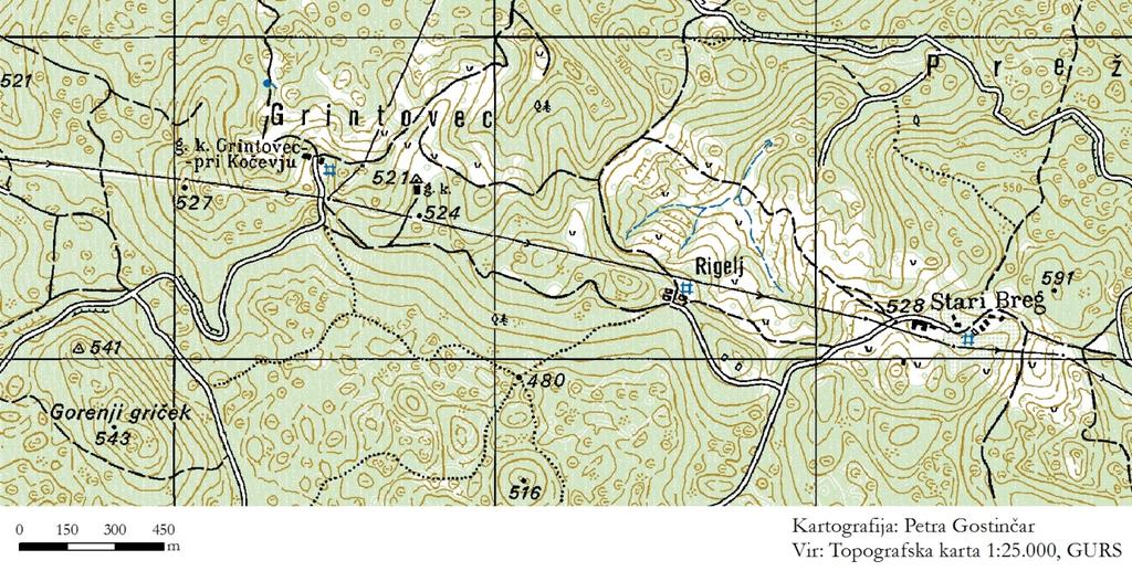 Kontaktni kras na Kočevskem Rogu in Kočevski Mali gori Na Kočevskem Rogu in na Kočevski Mali gori prevladuje kraški tip reliefa, ki je razvit na apnencih in nepretrtih dolomitih.
