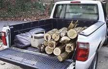 Every camper, cabin owner, and recreationist should leave their firewood at home and obtain it near their destination that could make a long-term difference in the health of our forests and the