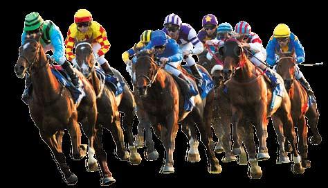 HORSE RACING Even if you are not a gambler, a visit to one of the two racing venues provides an opportunity to