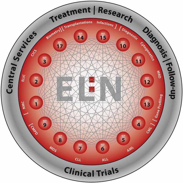 The ELN Foundation The ELN Foundation is a non-profit charitable organization that was created to support the EuropeanLeukemiaNet (ELN).