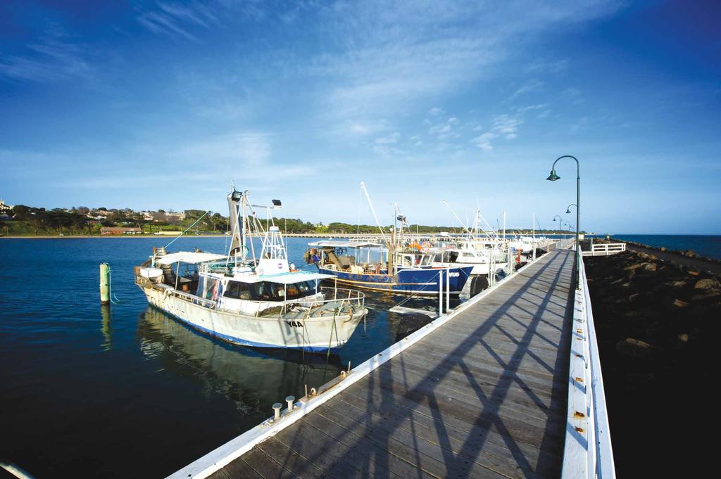 Overview/ Portarlington Safe Harbour will enhance the existing marine infrastructure at Portarlington, currently comprising the pier, breakwater and berths.