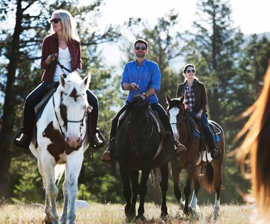 TRAILS TRAIL RIDE 11km $84 Per Person Departs at 9PM, 10AM, 1PM, 2PM, 3PM JASPER PARK STABLES ON PYRAMID LAKE ROAD Open May 1 st October 9 th, 2017 ONE HOUR ATHABASCA OUTLOOK TRAIL RIDE 6 years old +