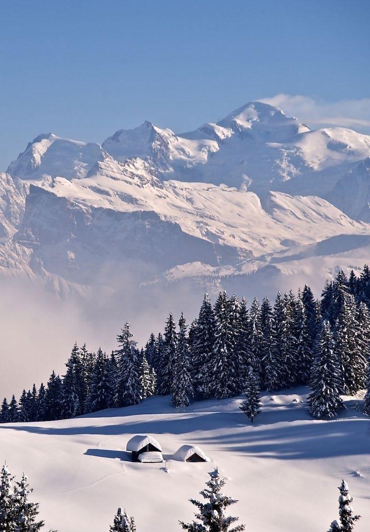 The French side includes Avoriaz, Châtel and Morzine with some north facing slopes Huge ski area of