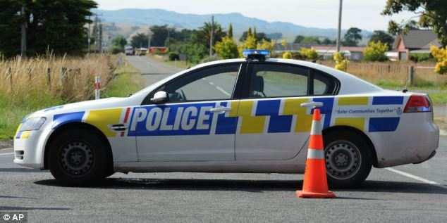 Police have cordoned off the impact zone around where the balloon landed in Carterton, on New Zealand's north island 'It was just a sheer flame as it hit the ground,' he said.
