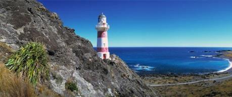 Page 12 Day 11 Today enjoy Cape Palliser Seal Colony and Lighthouse Tour.