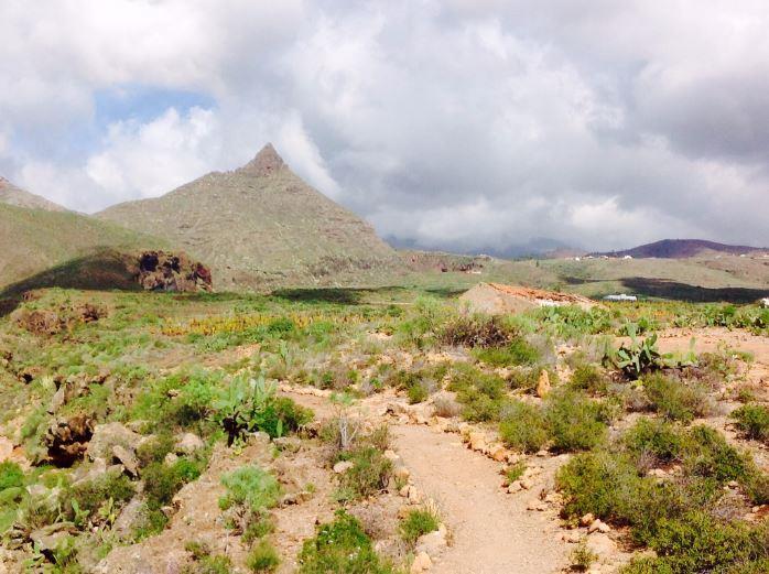 Tenerife Sur: Short Walks Under 10 km Casa del Ancon Circular (Arona) Route Summary This short circular walk from Arona is very scenic, with reminders of rural life in previous times.
