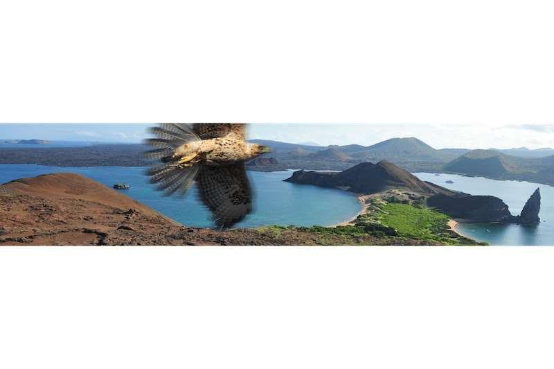 The Galapagos Islands, Ecuador Nothing can be more improving to a