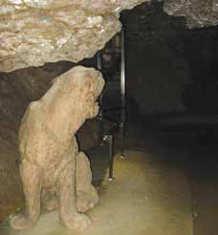 године, током рада каменолома, откривена је пећина.