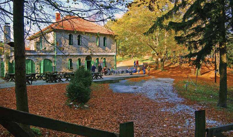 Планинарски дом на Букуљи Планина Букуља (696м) је једно од омиљених излетишта Аранђеловчана и гостију Буковичке бање. Обрасла је буковом, грабовом и храстовом шумом.