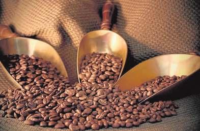 44 FOOD&DRINK March 24th to 30th 2017 The alchemy of producing the perfect cup of coffee Many of the best coffee blends incorporate both Brazilian and Indonesian coffee beans :: RAÚL MORENO ORTA