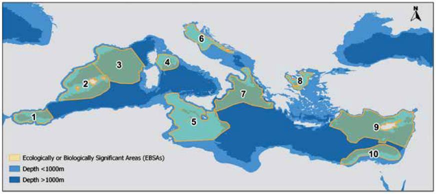Ecologically or Biologically Significant Areas identified by the RAC/SPA: 1. Alboran Sea; 2. Balearic Islands area; 3.