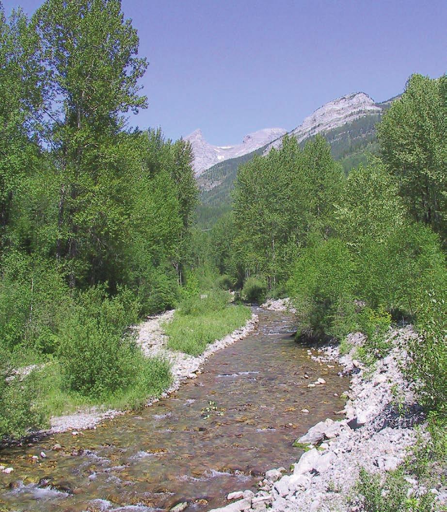 Property Highlights Fernie s Premier Mountain Residential Property Development. Phases 1-5 already complete. 228 +/- Acre residential development land For Sale.