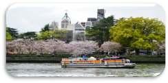 Afterward we are off on a sightseeing cruise down the Okawa River (at the rear of Osaka Castle Park) and marvel at the 5,000 or so cherry blossom trees that line its banks.