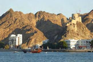 Old Muscat District and the Sultan's Palace 30min-1h A few