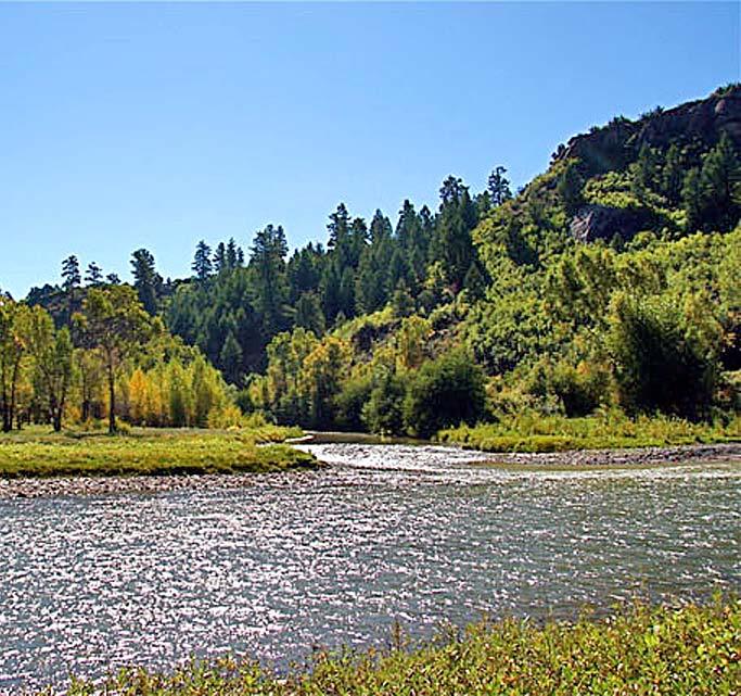 Ortiz River Ranch Pagosa Springs, Colorado $3,200,000 Reduced by $640,000 In Partnership with Durango Real Estate Partners, LLC Tom Morse, Zach Morse 970 / 769-8989 Tom@RanchandRecreational.