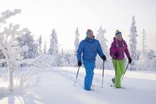 Snowshoeing, cross country skiing,