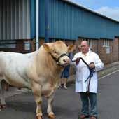 July Leicestershire County Show Saturday 4th July Local produce stalls and livestock show. Times:...9.00am to 5.00pm Venue:...Melton Cattle Market Tel:...07572 479715. Email: info@las-show.co.