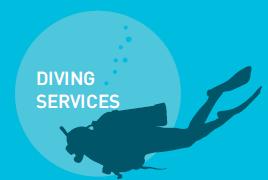ENGINEERING SERVICES DIVING TEAM CHARGES 250.00 per hour, subject to a minimum of 4 hours.