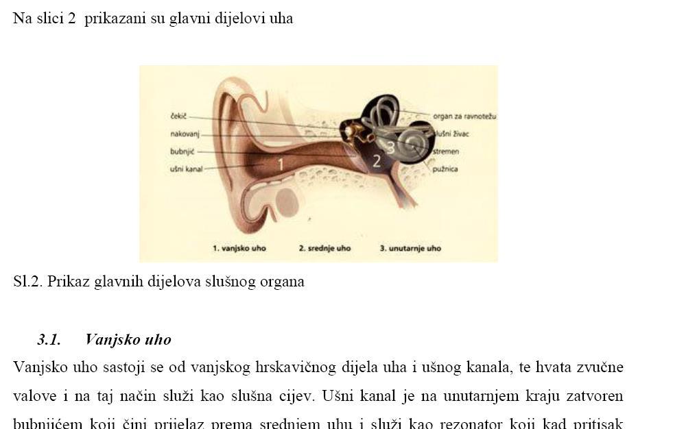 Sl. 4. Presjek uha Buka također djeluje na cirkulaciju krvi, izaziva stres i ostale psihološke probleme.