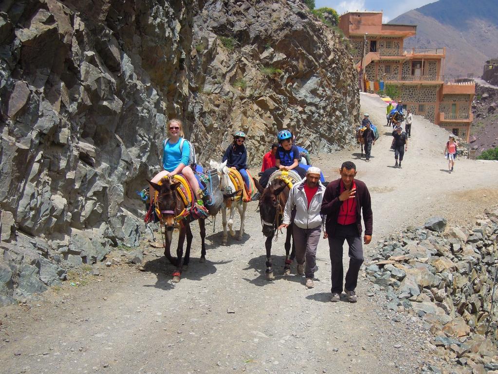 trip. Your children will ride mules as you walk, giving you the opportunity to take in the