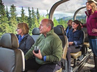 Types of Tours Denali Rail Tours 1-4 nights Rail Travel from Anchorage or Fairbanks Accommodations at
