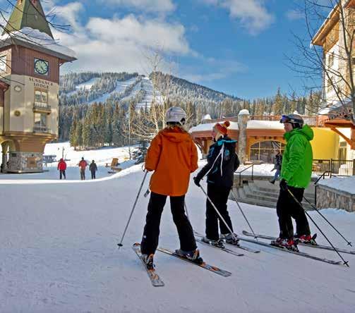 Winter in Sun Peaks Our winter adventures can be tailored to your specific needs, ensuring your entire team has the opportunity to participate and enjoy these fun activities.