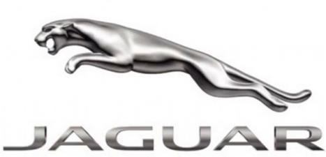 Jaguar #1 Indian brands in 96% of German Jaguar 1982 Automotive Coventry, United Kingdom Revenues 18.