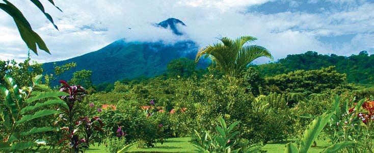 Page 1 of 5 SAVE $100 March 02 - March 10, 2015 9 Days 14 Meals 8 Breakfasts 6 Dinners Highlights: San Jose, Coffee Plantation, Guanacaste, Monteverde Cloud Forest, Hanging Bridges, Arenal Volcano,