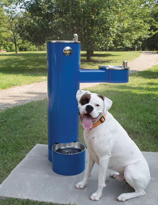 Most Dependable Fountains,
