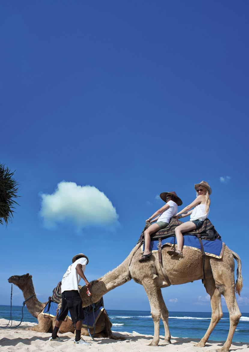 WHAT TO DO Camel Tours TEXT & PHOTO BY KARTIKA D. SUARDANA There is no golden desert in Bali. But we do have a golden sandy beach on the southern part of the island: the famous Nusa Dua beach.