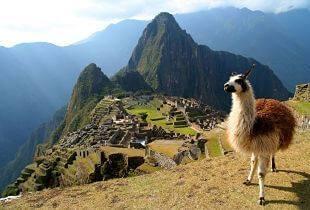 Day 12 FULL DAY MACHU PICCHU TOUR Have an early breakfast at your hotel and prepare for the tour of a lifetime to see Machu Picchu, the stunning city in the sky.