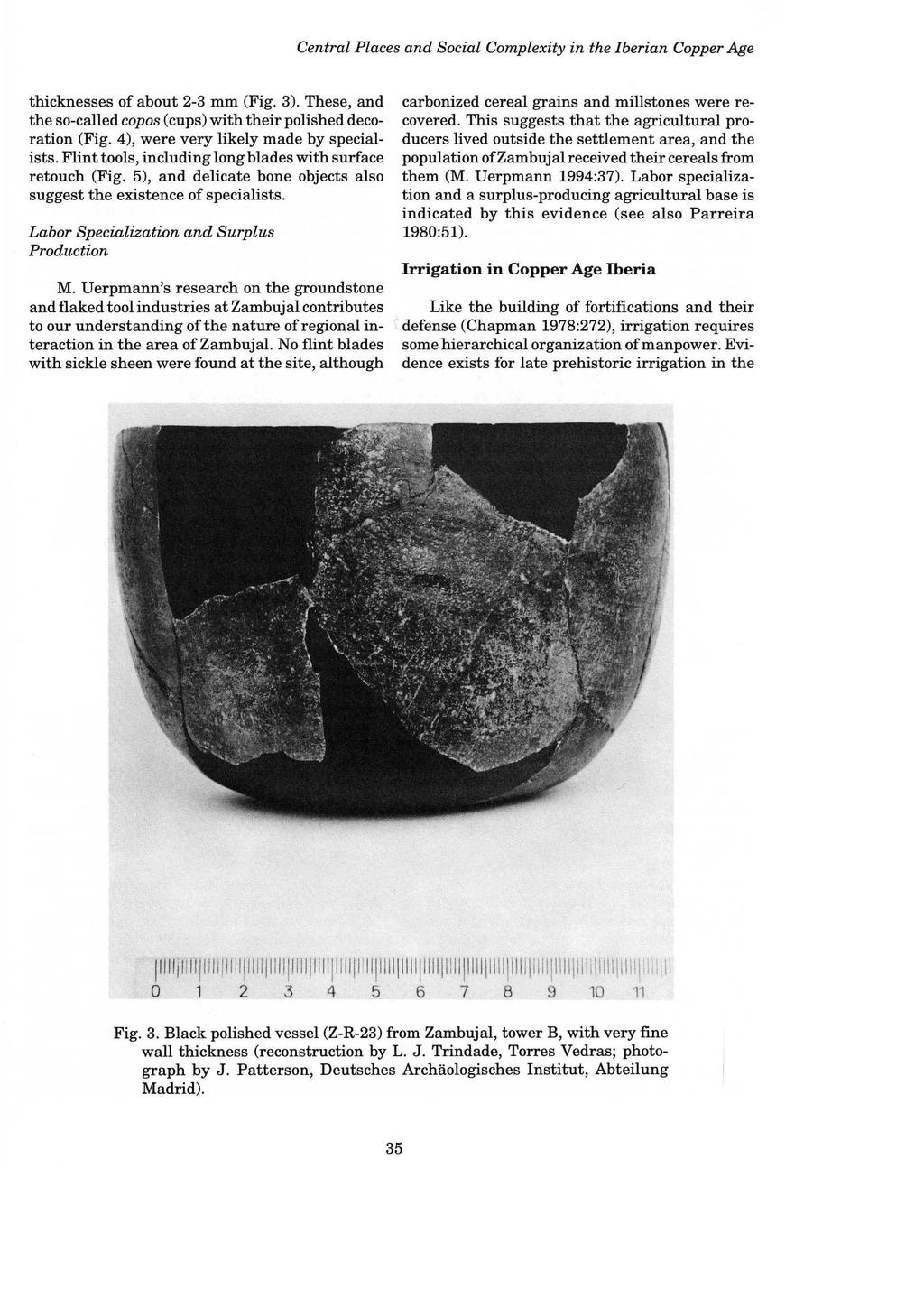 Central Places and Social Complexity in the Iberian Copper Age thicknesses of about 2-3 mm (Fig. 3). These, and the so-called copos (cups) with their polished decoration (Fig.