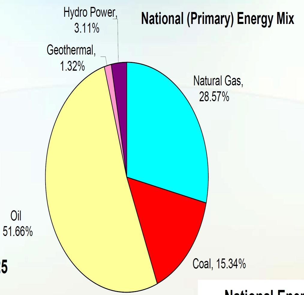 NATIONAL ENERGY MIX 2006 NATIONAL ENERGY