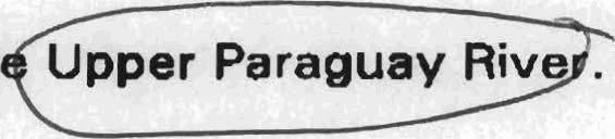 delimited as that portion of the Paraguay
