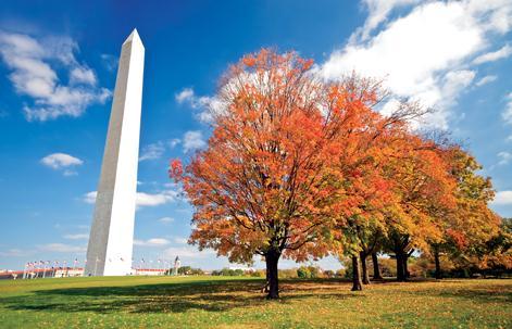 Tour itinerary: Washington, D.C.