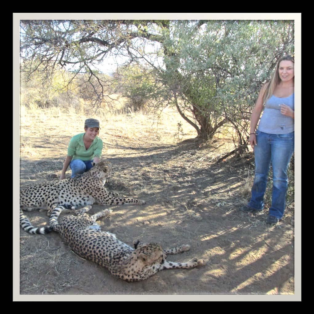 Na ankuse Wildlife Sanctuary Marlice took us to see the cheetahs!