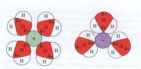 faza vode. Tačka smrzvanja ili ključanja menja se kada u vodi postoje pozitivni i negativni joni (Fig.5.5).