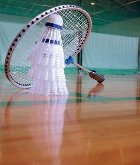 com Slip/skid report NF The Blanchon Sport Surfaces Paint was specially formulated for large sports surfaces in gymnasiums, multipurpose community halls, etc.